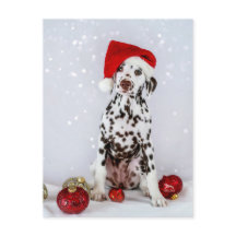 Merry Kerstdalmatian