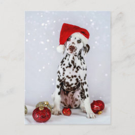 Merry Kerstdalmatian Briefkaart