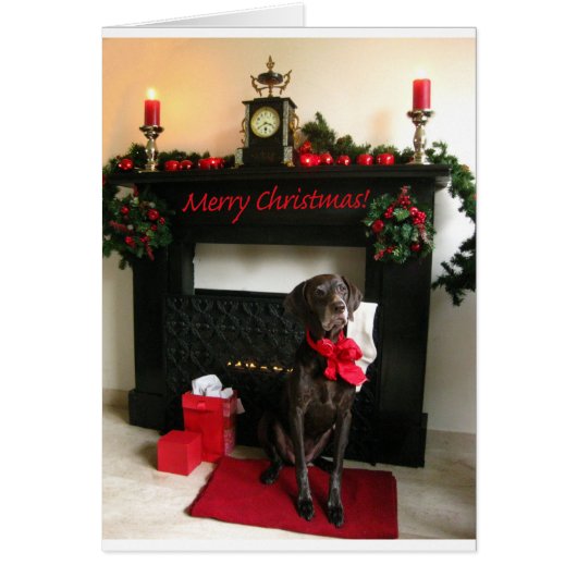 Merry Kerstduitse stengelige aanwijzer (Voorkant)