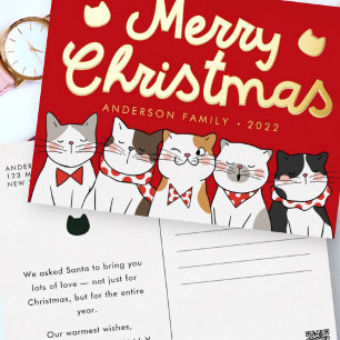 Merry Kerstfeest Funny Cute Cats Caroling Folie Feestdagen Briefkaart