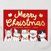Merry Kerstfeest Funny Cute Cats Caroling Folie Feestdagenkaart (Voorkant)
