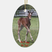 Merry Kerstfoal Ornament (Links)