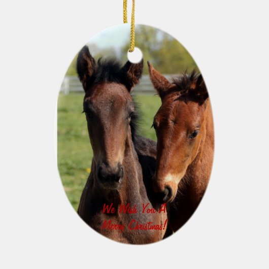 Merry Kerstfoal Ornament (Achterkant)