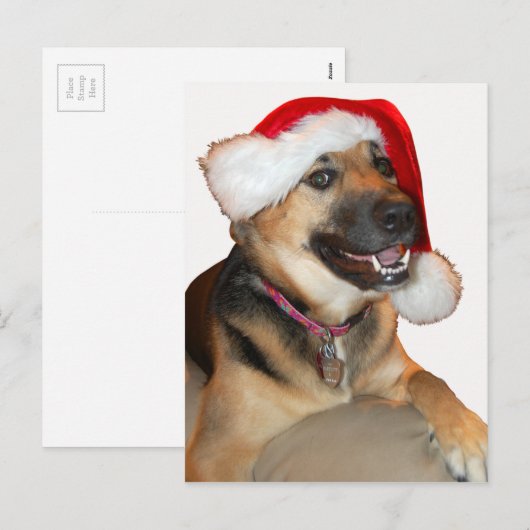 Merry KerstGerman Shepherd Feestdagenkaart (Voorkant / Achterkant)