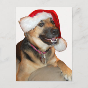 Merry KerstGerman Shepherd Feestdagenkaart
