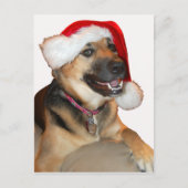 Merry KerstGerman Shepherd Feestdagenkaart (Voorkant)
