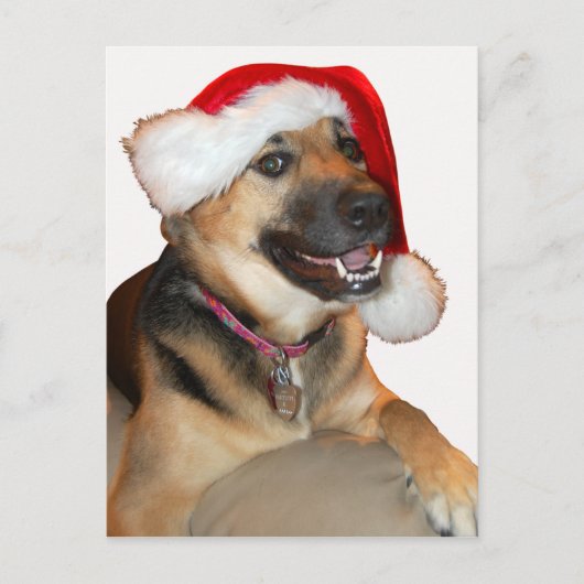 Merry KerstGerman Shepherd Feestdagenkaart (Voorkant)