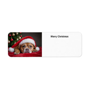 Merry Kersthond Etiket