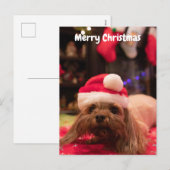 Merry Kersthond Feestdagenkaart (Voorkant / Achterkant)