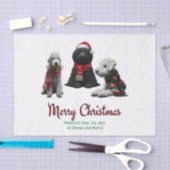 Merry Kersthonden Tissuepapier (Craft)