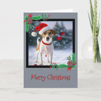 Merry KerstJack Russell Terrier Wenskaart Bedankkaart