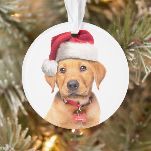 Merry Kerstlabrador Puppy in Santa Hat Ornament (Boom)
