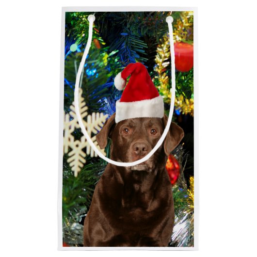 Merry Kerstlabrador Retriever Dog Santa Hat Klein Cadeauzakje (Voorkant)