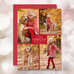 Merry Kerstmis 4 Foto Collage Feestdagenkaart<br><div class="desc">Uw achternaam en de groet Zacht Kerstmis en Gelukkig Nieuwjaar in het rode kruis met uw favoriete fotocollage op de voorkant en uw voornamen op de achterkant van deze feestelijke groet kaarten. MEER KLEUREN in onze winkel. De Live Design Service kan u indien nodig helpen met de lay-out van uw...</div>