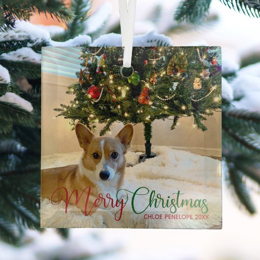Merry Kerstmis Aangepast Pet Foto van Beauful Dog Glas Ornament