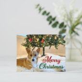 Merry Kerstmis Corgi Beauful Dog Fotografie Briefkaart (Staand voorkant)