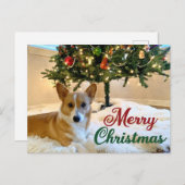 Merry Kerstmis Corgi Beauful Dog Fotografie Briefkaart (Voorkant / Achterkant)
