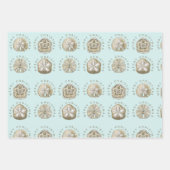 Merry Kerstmis en Dollar Turquoise Pattern Inpakpapier Vel (Voorkant 3)