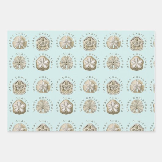 Merry Kerstmis en Dollar Turquoise Pattern Inpakpapier Vel (Voorkant 3)