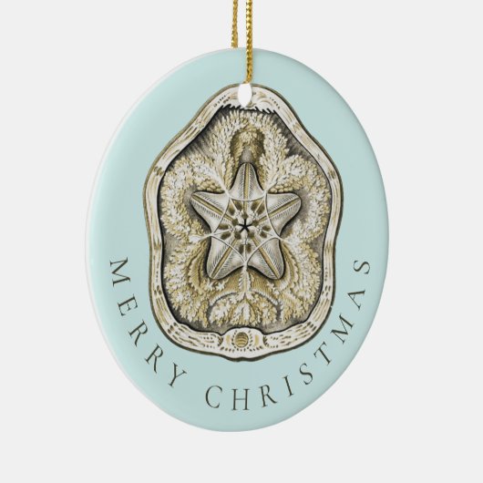 Merry Kerstmis en Dollar Turquoise Pattern Keramisch Ornament (Rechts)