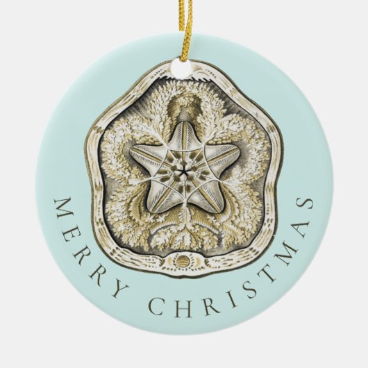 Merry Kerstmis en Dollar Turquoise Pattern Keramisch Ornament (Voorkant)