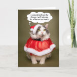 Merry Kerstmis Funny Cat Dpress in Santa Clothes Feestdagen Kaart<br><div class="desc">Verstuur dit vervelende maar schattige kat dat in haar vakantie gekleed is,  maar denk het best aan zichzelf,  dat ze niet kan geloven wat ze zal tolereren voor een paar extra cadeautjes om iemand te laten lachen als je ze een prettige kerst toewenst!</div>