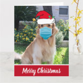 Merry Kerstmis Funny Dog in Face Mask Kaart (Gele Bloem)