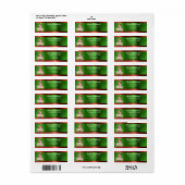 Merry Kerstmis Gnome Red Green Metallic Adres Etiket (Full Sheet)