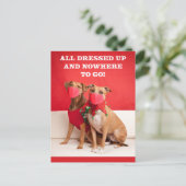 Merry Kerstmis Pit Bulls in Face Mmaskers Feestdagenkaart (Staand voorkant)