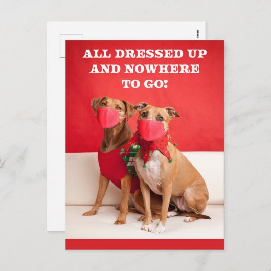 Merry Kerstmis Pit Bulls in Face Mmaskers Feestdagenkaart (Voorkant / Achterkant)