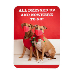 Merry Kerstmis Pit Bulls in Face Mmaskers Magneet