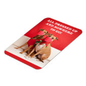 Merry Kerstmis Pit Bulls in Face Mmaskers Magneet (Linkerzijde)