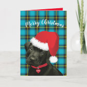 Merry Kerstmis — Puppy Santa Hat Festive Feestdagen Kaart (Voorkant)