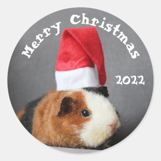 Merry-kerstpap-varken in een Santa Hat Ronde Sticker (Voorkant)