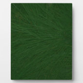 Merry-kerstpine-structuur dicht fotoplaat (Voorkant)