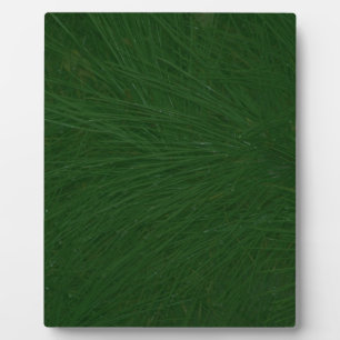 Merry-kerstpine-structuur dicht fotoplaat