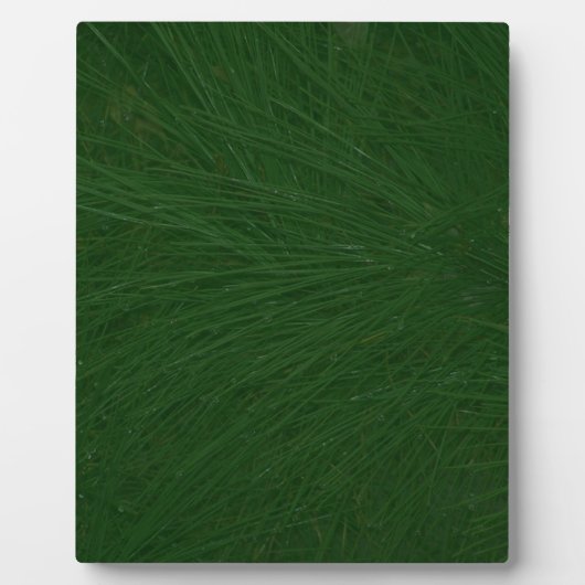 Merry-kerstpine-structuur dicht fotoplaat (Voorkant)