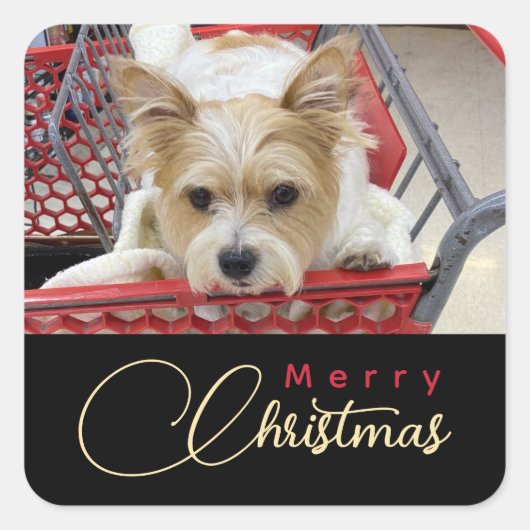 Merry Kerstpuppy Photo Shopping Cart Vierkante Sticker (Voorkant)