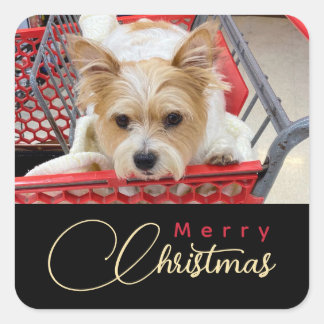 Merry Kerstpuppy Photo Shopping Cart Vierkante Sticker
