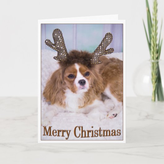 Merry KerstRaindeer Cavalier King Charles Feestdagen Kaart (Voorkant)