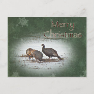 Merry KerstWild Turkey Feestdagenkaart