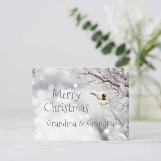 Merry KerstWinter Frost Bird Feestdagenkaart (Staand voorkant)