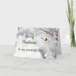 Merry KerstWinter Frost Bird Sister Feestdagen Kaart<br><div class="desc">Als je van de traditionele kerstdagen houdt,  zoals winters,  vorst,  bomen en schattige,  vriendelijke vogels; Kippen in dit hoesje.  Dan is dit de kaart voor je zuster</div>