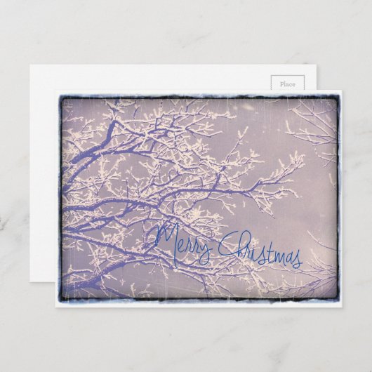 Merry KerstWinter Tree Branches Feestdagenkaart (Voorkant / Achterkant)
