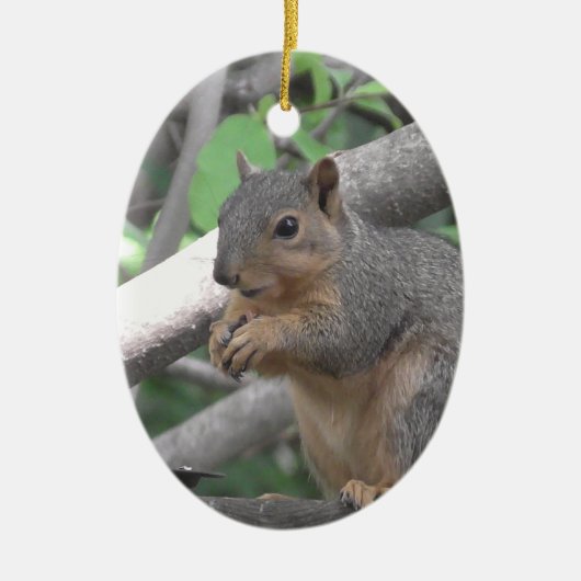 Merry Kerstya nut Funny Squirrel Keramisch Ornament (Voorkant)