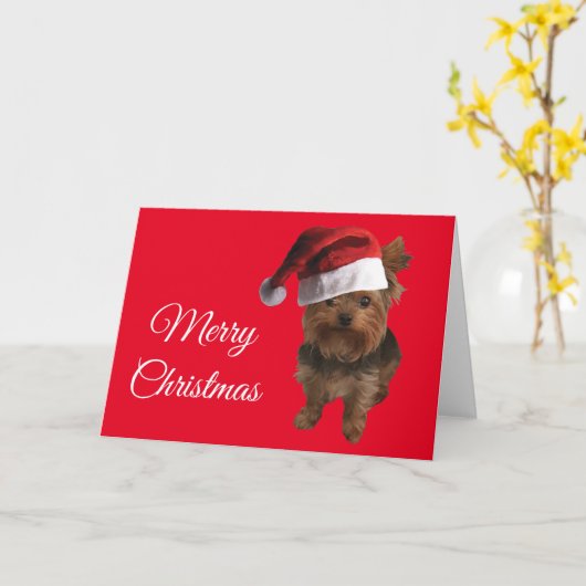 Merry KerstYorki Kaart (Gele Bloem)