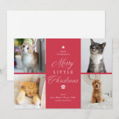 Merry Litte Christmas Pet 4 Foto Plat Feestdagenkaart (Voorkant / Achterkant)