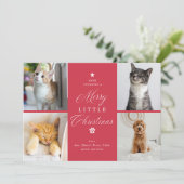Merry Litte Christmas Pet 4 Foto Plat Feestdagenkaart (Staand voorkant)