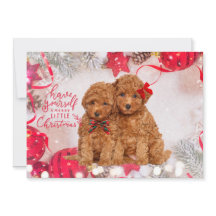 Merry Little Christmas Poedel Puppies Vakantie Kaa