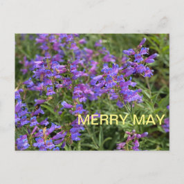 Merry May Briefkaart